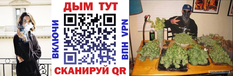 Купить закладки  Петров Вал  Конопля сатива 